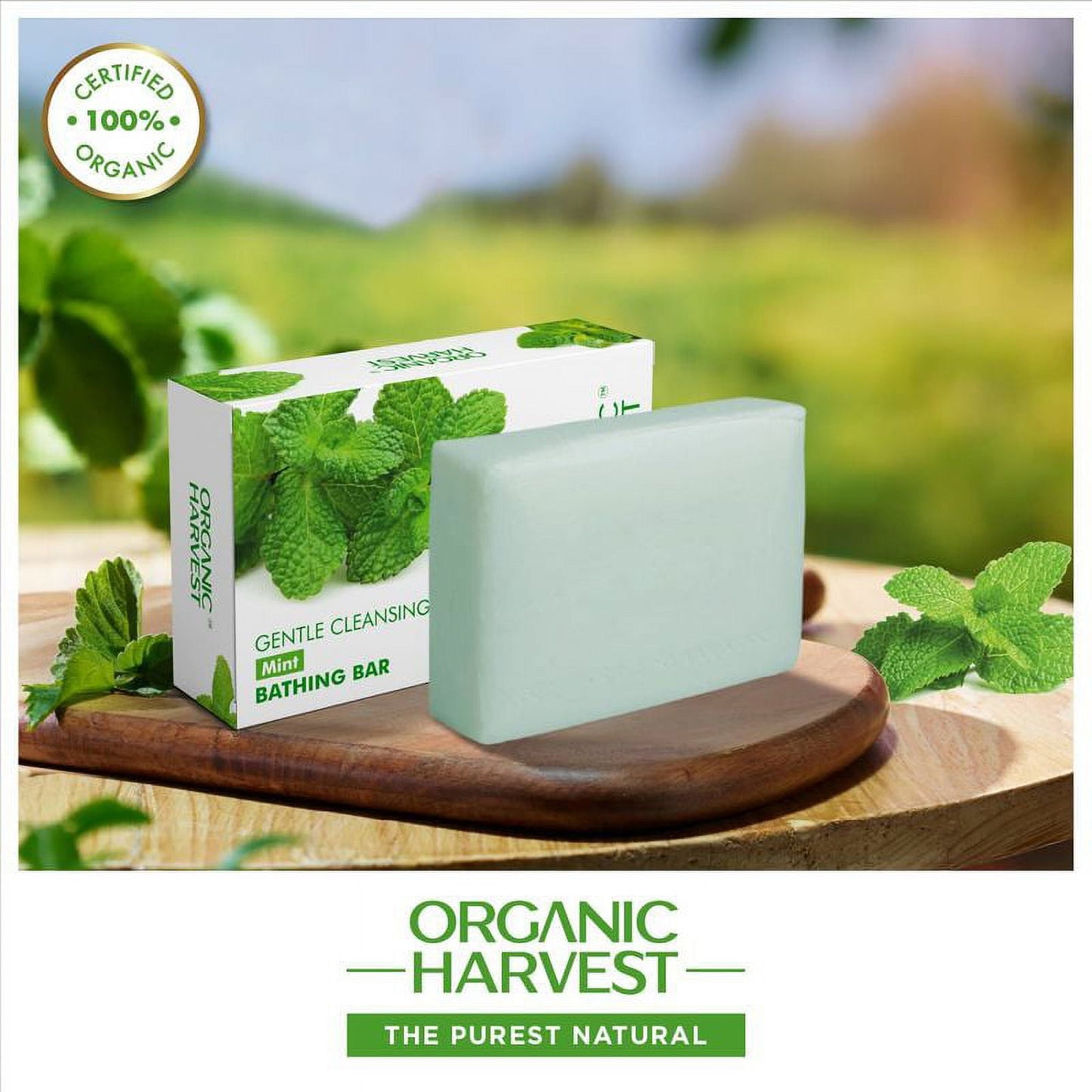 Organic Harvest Mint Bathing Bar, 125g