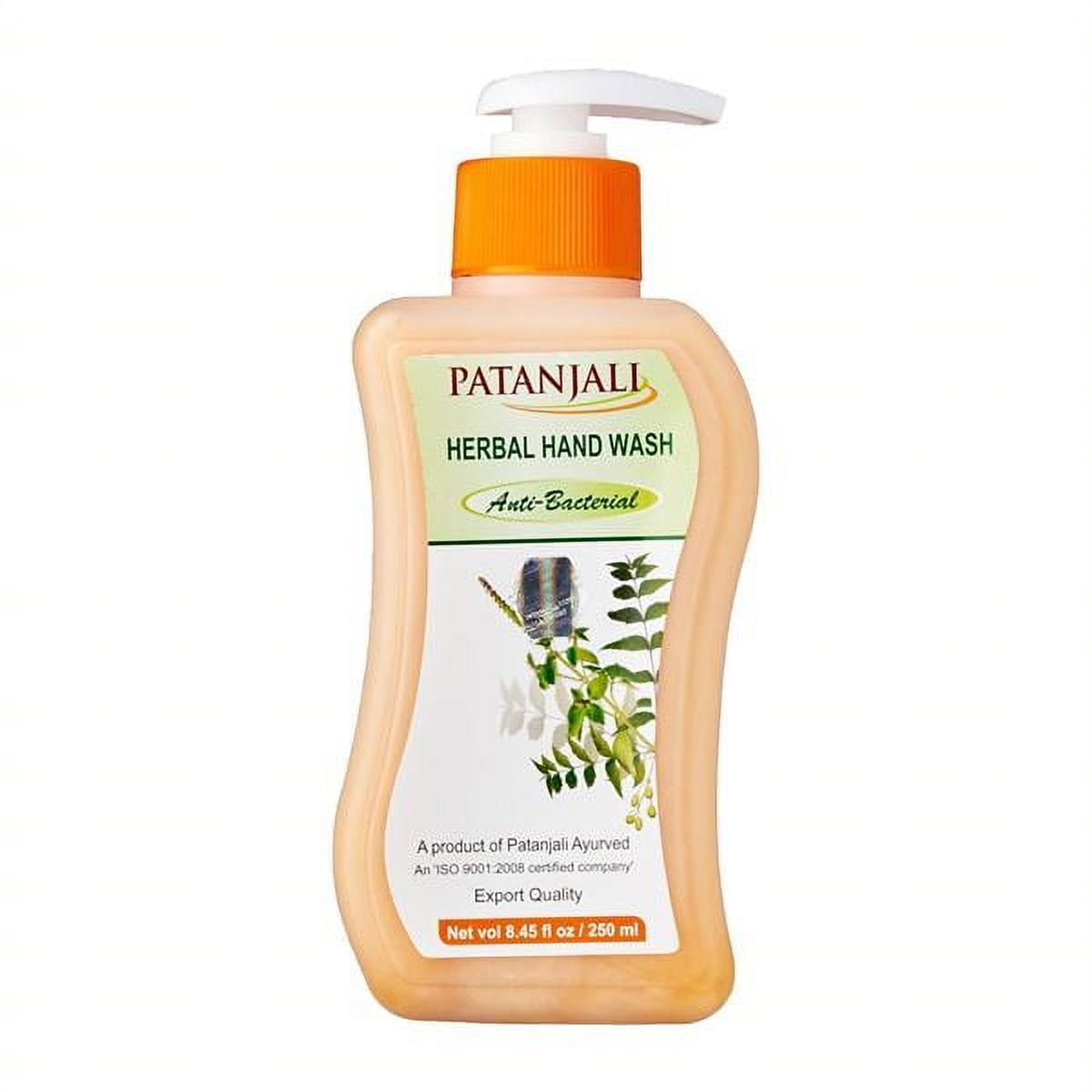 Patanjali Herbal Hand Wash Anti Bacterial, Protection - 250 ml