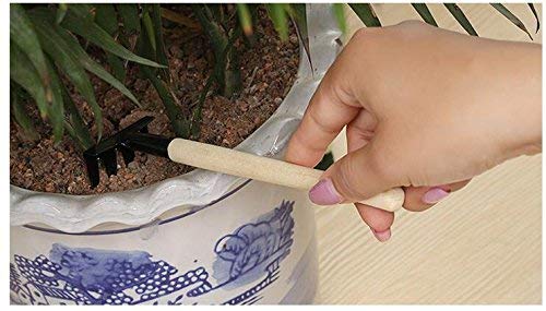 iKonbi Garden Tool Set for Home Gardening Weeder, Cultivator and Garden Fork Multicolour -Set of 3