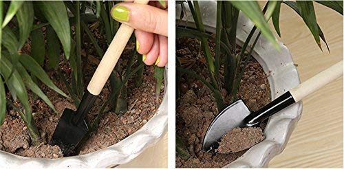 iKonbi Garden Tool Set for Home Gardening Weeder, Cultivator and Garden Fork Multicolour -Set of 3