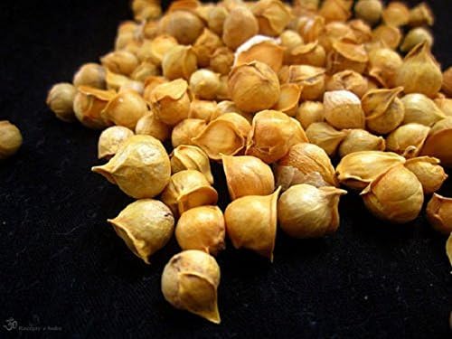 Allium Sativum Ayurveda Snow Mountain Garlic Kashmiri Whole: