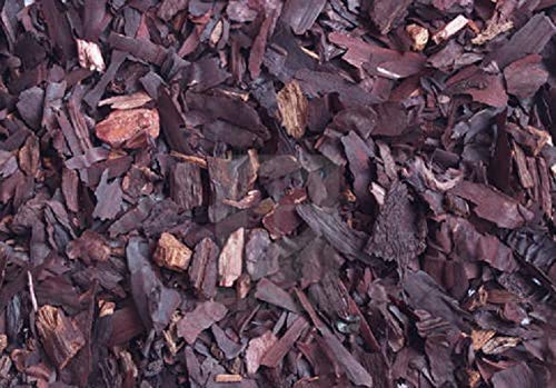 Billion Deals RATANJOT 100 Grm Alkanna tinctoria Alkanet