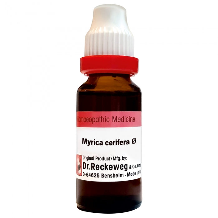 Dr. Reckeweg Myrica Cerifera Mother Tincture Q: