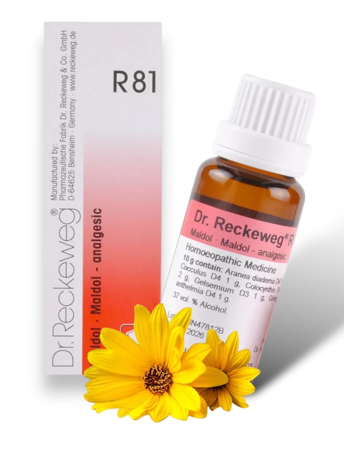 Dr. Reckeweg R81