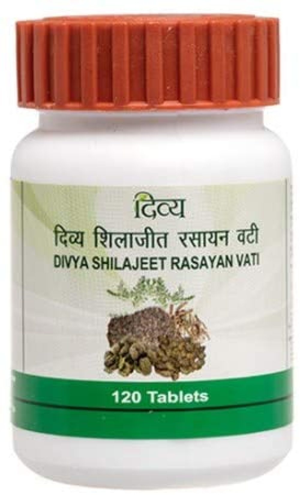 Patanjali Divya Shilajeet Rasayan 40 GMS