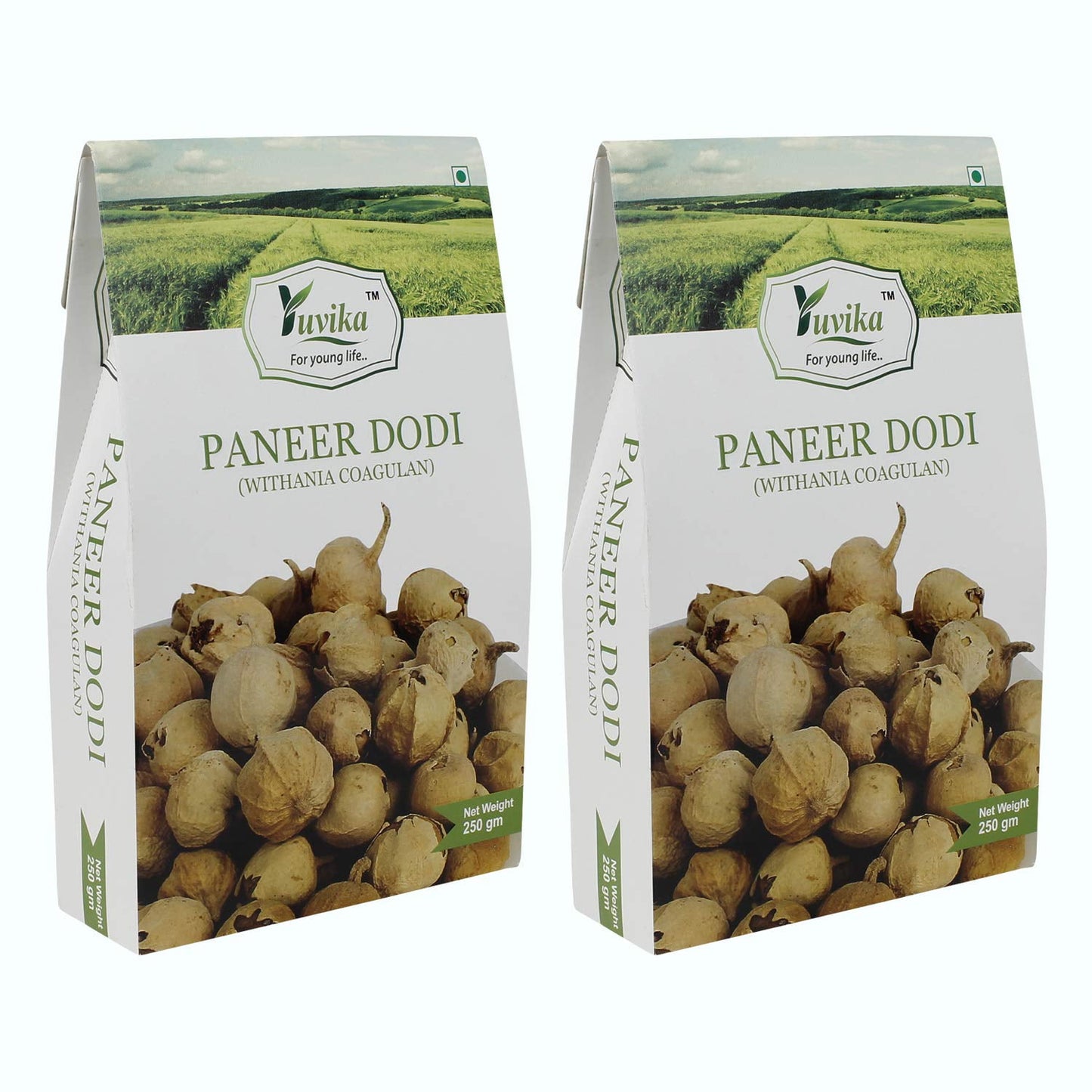 Yuvika Paneer Dodi - Paneer Ke Phool - Withania Coagulan (250 Grams) (Pack Of 2)