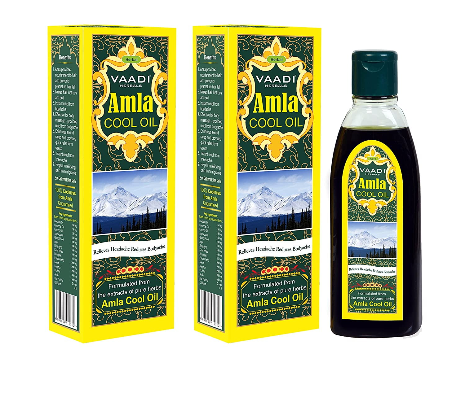 Amla Oil - Brahmi Oil - Blend of Brahmi and Amla Herbal Oil(Pack of 2 X 6.76 Ounces) - Vaa