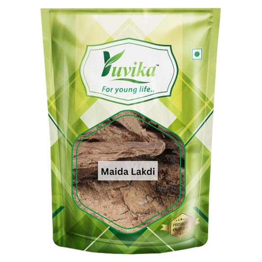 Yuvika Maida Lakdi - Litsea Glutinosa - Maida Wood (100 Grams)