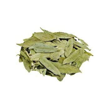 Organicgreen Herb Senna Leaf 50Gms *2 Pcs |Sonamukhi-Patta | Swarnamukhi | Sanaya Leaves
