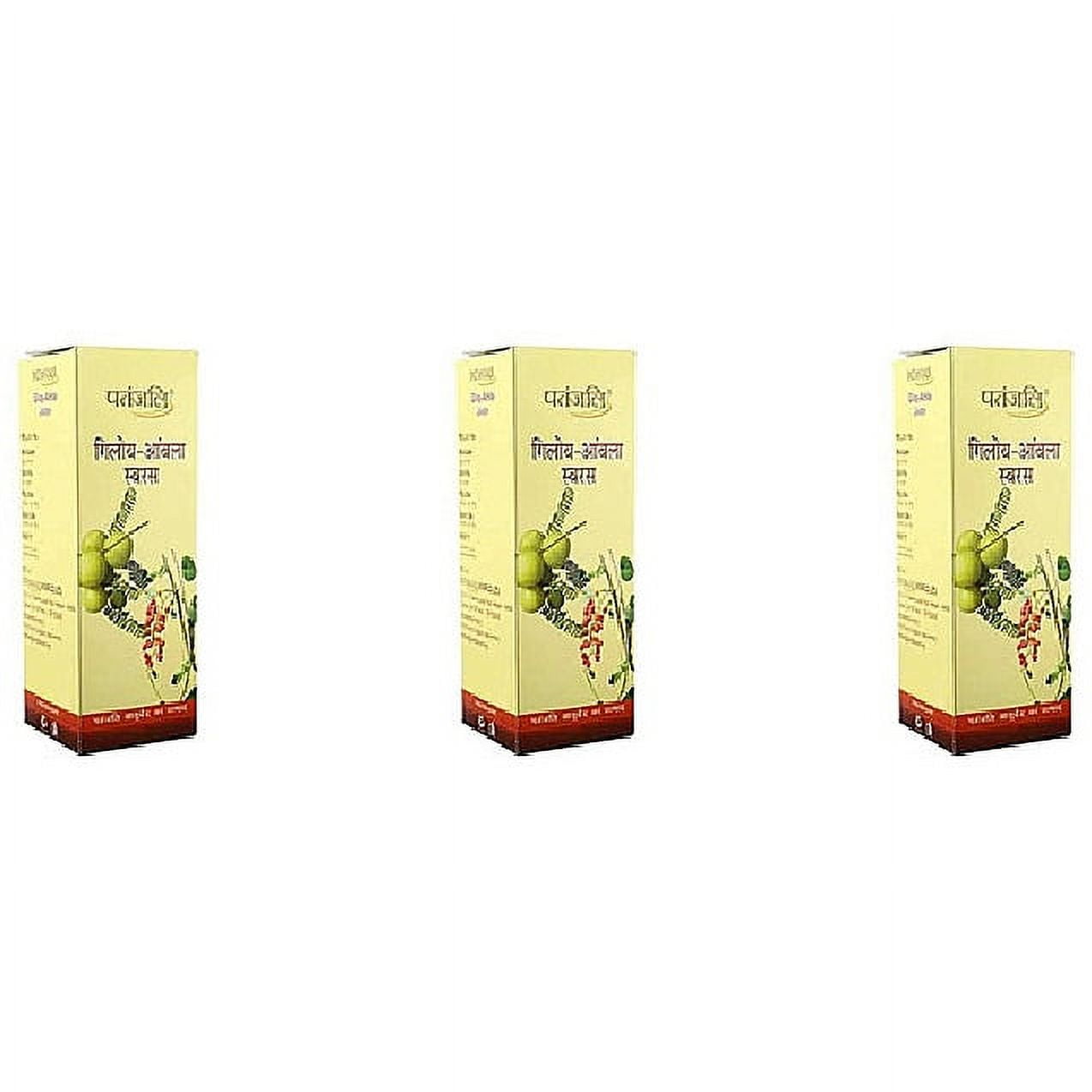Pack Of 3 - Patanjali Giloy Amla Juice - 500 Ml (17 F Oz)