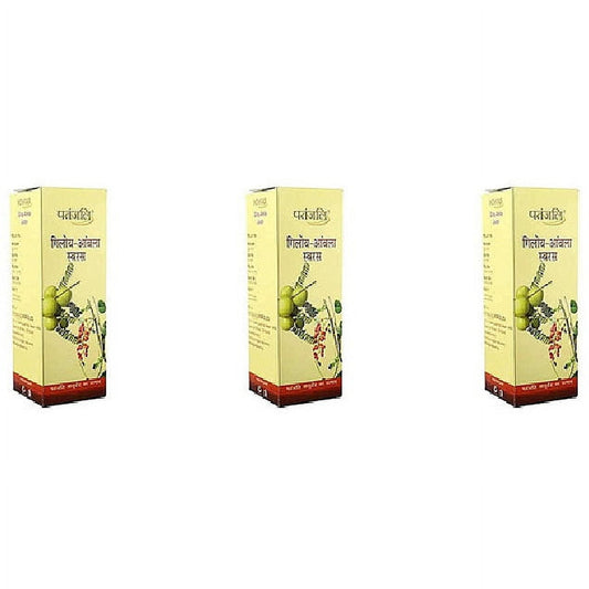 Pack Of 3 - Patanjali Giloy Amla Juice - 500 Ml (17 F Oz)