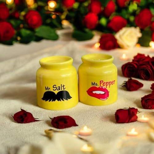 The Decor Lane Ceramic Handmade Salt & Pepper Set Elegant Heart Design, Perfect Valentine’