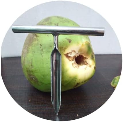 SynSpiritStore Heavy Duty Food Grade Stainless Steel Tender Green Coconut Opener,