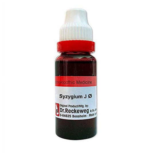 Dr. Reckeweg Germany Homeopathic Syzygium Jambolanum Mother Tincture Q (20ml) - by Exportm
