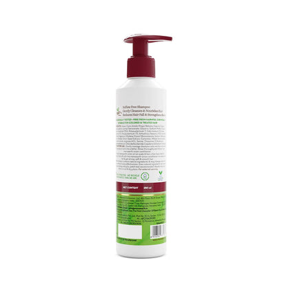 Mamaearth Onion Shampoo for Hair Growth &amp; Hair Fall Control with Onion &amp; Plant Keratin -250 ml