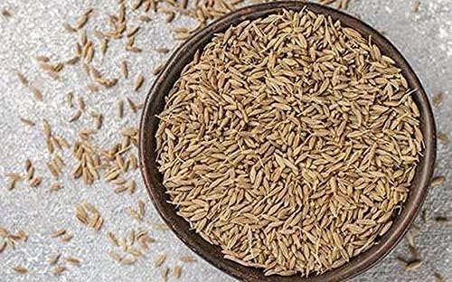 iKonbi Fresh Cumin Seeds Spices JEERA Special Spices from INDIA'S Farm 250 GRAM