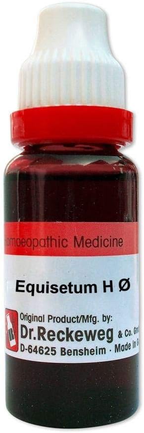 Dr. Reckeweg Equisetum Hyemale Mother Tincture Q: