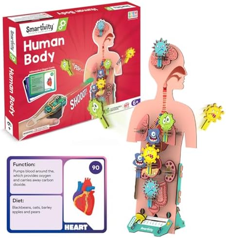 Smartivity Human Body Model for Kids 6-12 Years | Learn Body Organs, Functions with Fun Ca