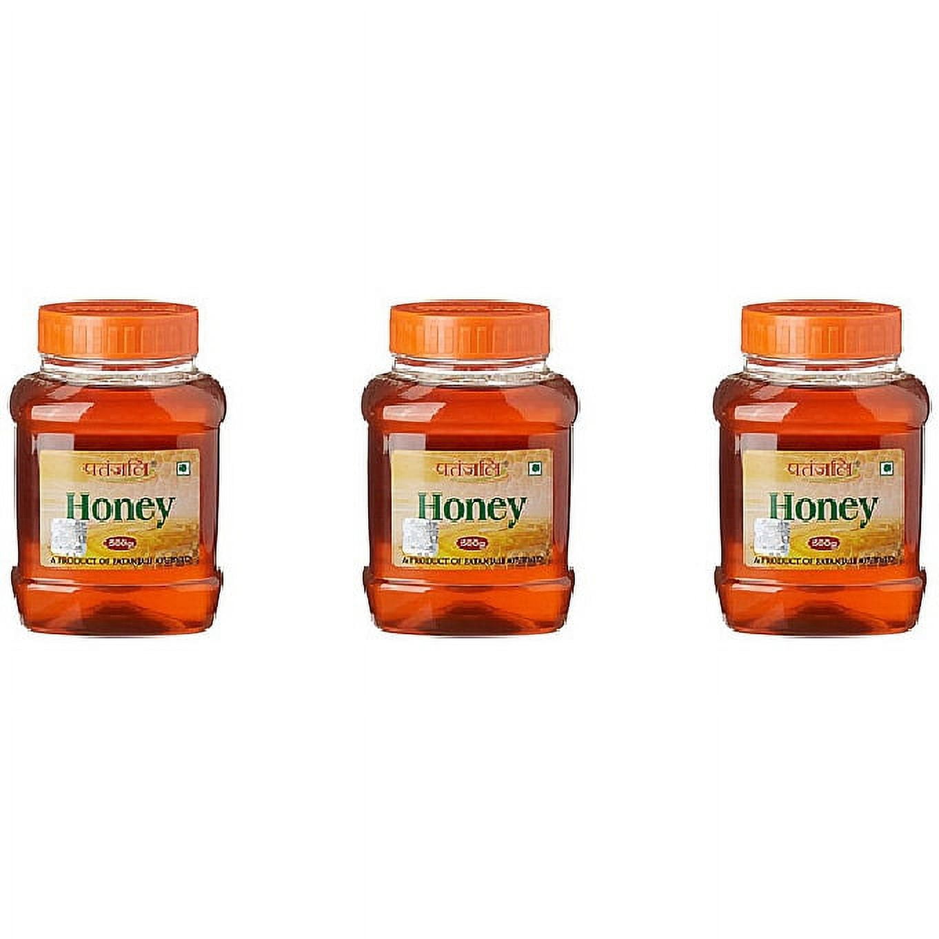 Pack Of 3 - Patanjali Honey - 500 Gm (17 Oz)