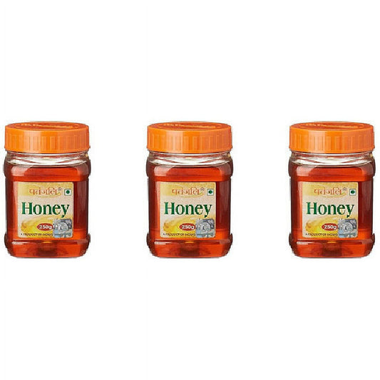 Pack Of 3 - Patanjali Honey - 250 Gm (8.8 Oz)