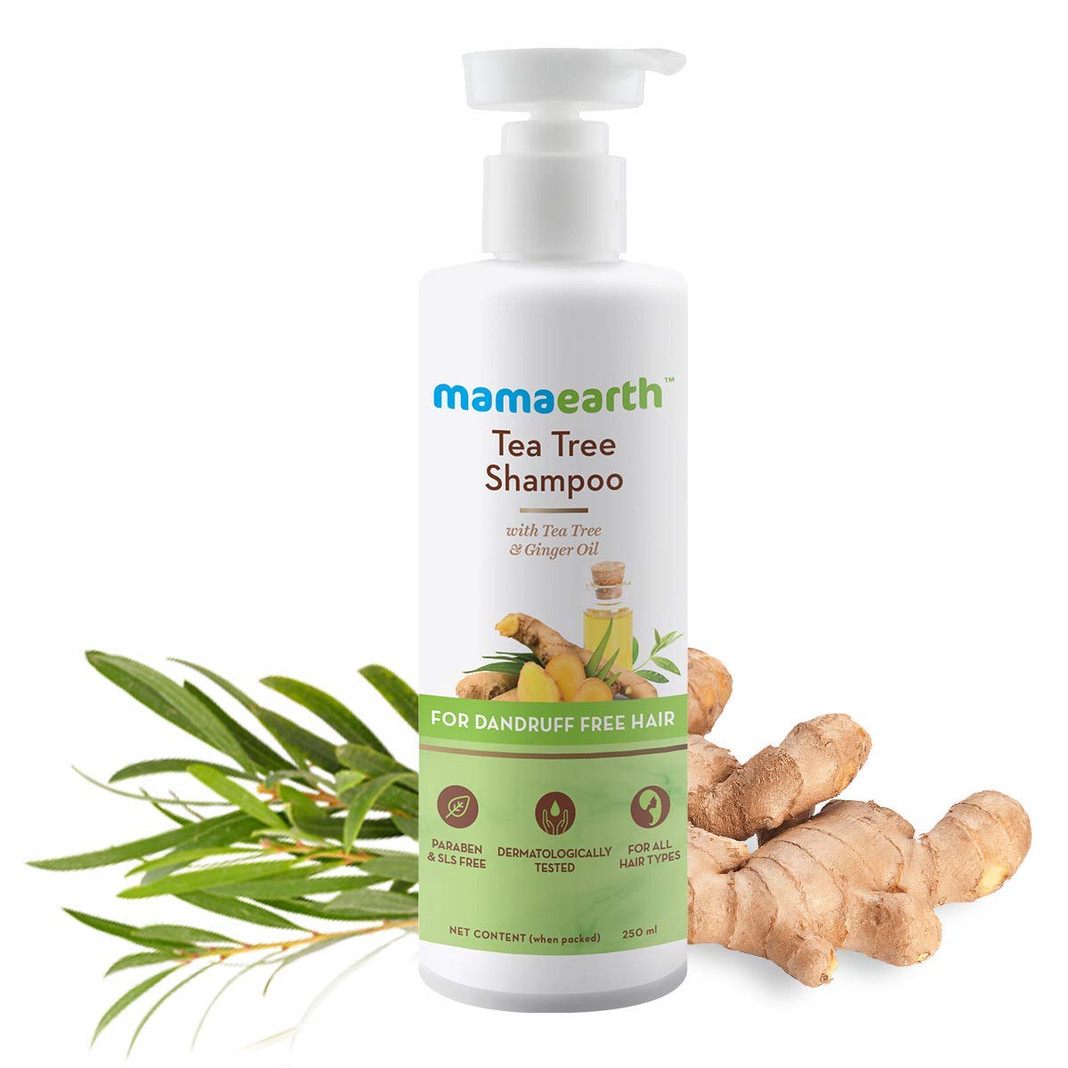 Mamaearth Tea Tree Anti Dandruff Shampoo: Tea Tree & Ginger Oil, 250 ml