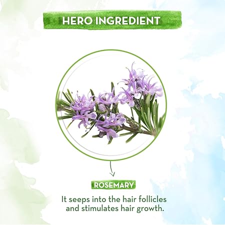 Mamaearth Rosemary Essential Oil: 15 ml