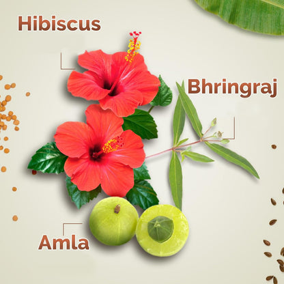 Mamaearth Kerala Thaali HairOil with Hibiscus, Bhringraj, Methi Dana & Amla for Thick & Long Hair 150 ml