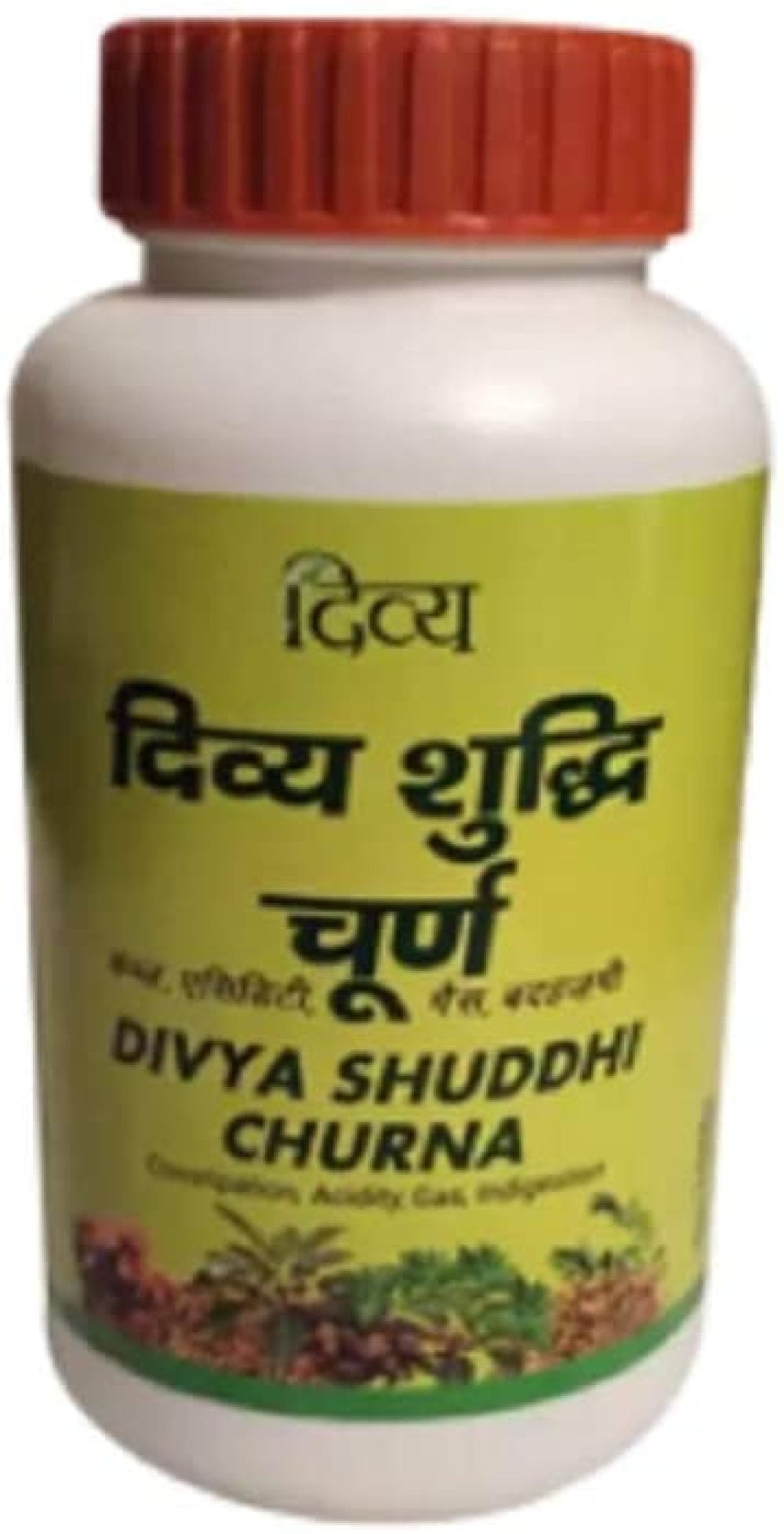 Patanjali Divya Shuddhi Churna for Inddigestion, Constipation, Acidity, Gas - 100 gm