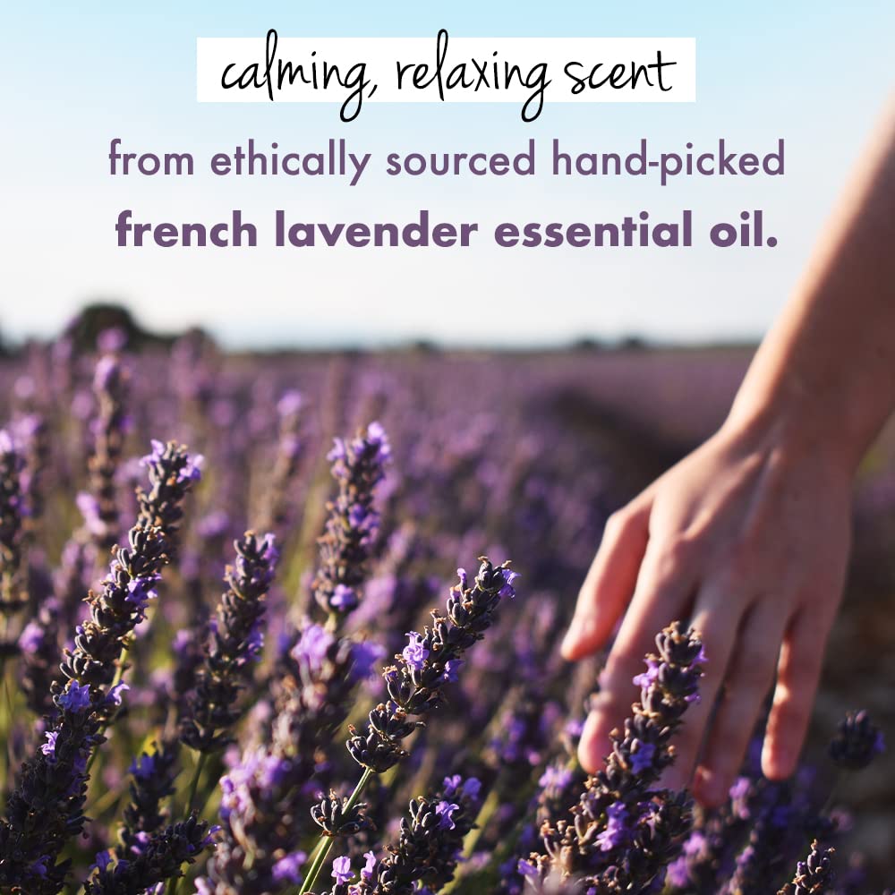 Love Beauty and Planet Argan Oil & Lavender Hair Mask: 200 ml