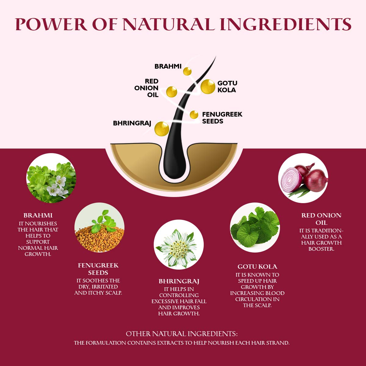 Oriental Botanics Red Onion Hair Conditioner: 300 ml