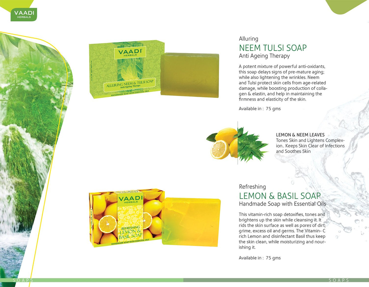 Vaadi Herbals Shower Gel: Saffron, Sulfate-Free, 300 ml, 3 Bottles