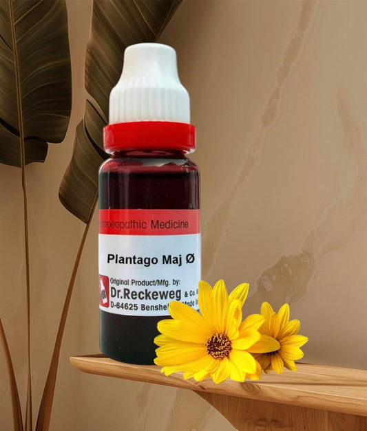 Dr. Reckeweg Plantago Major Mother Tincture Q: