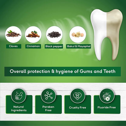 Sri Sri Tattva Sudanta Herbal Toothpaste: 200 g, Pack of 2
