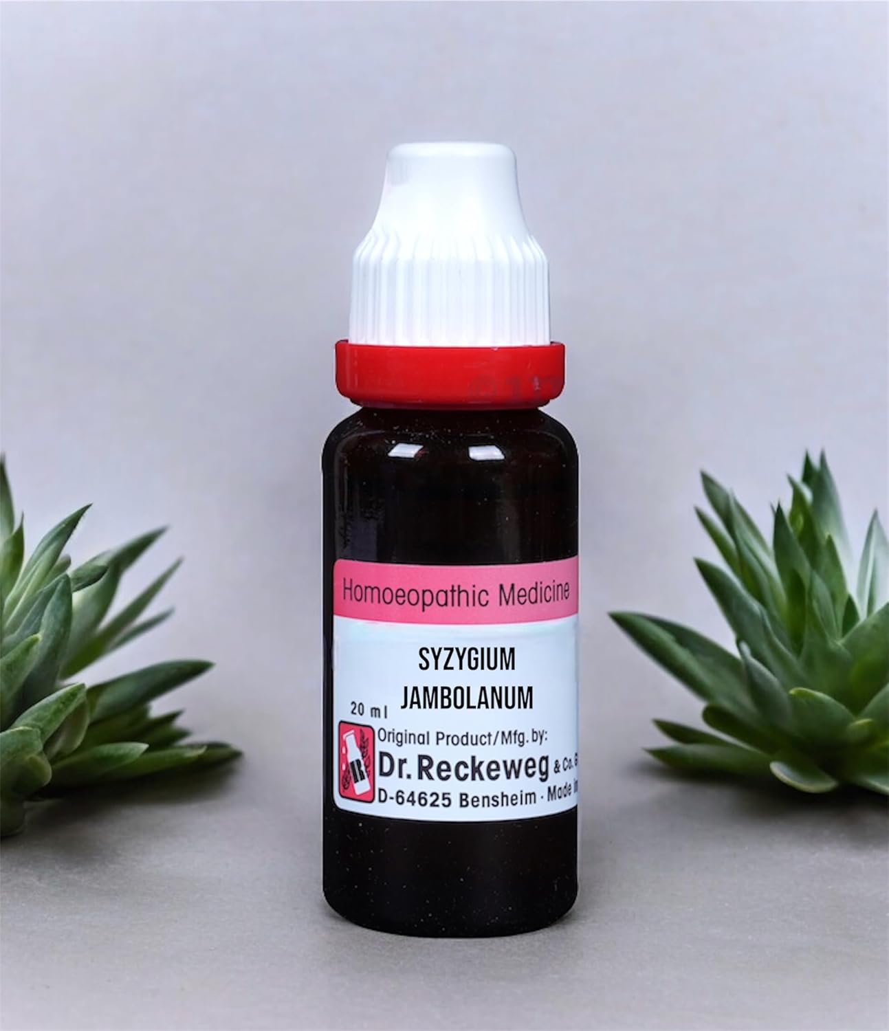 Dr Reckeweg Syzygium Jamb Q (20ml)