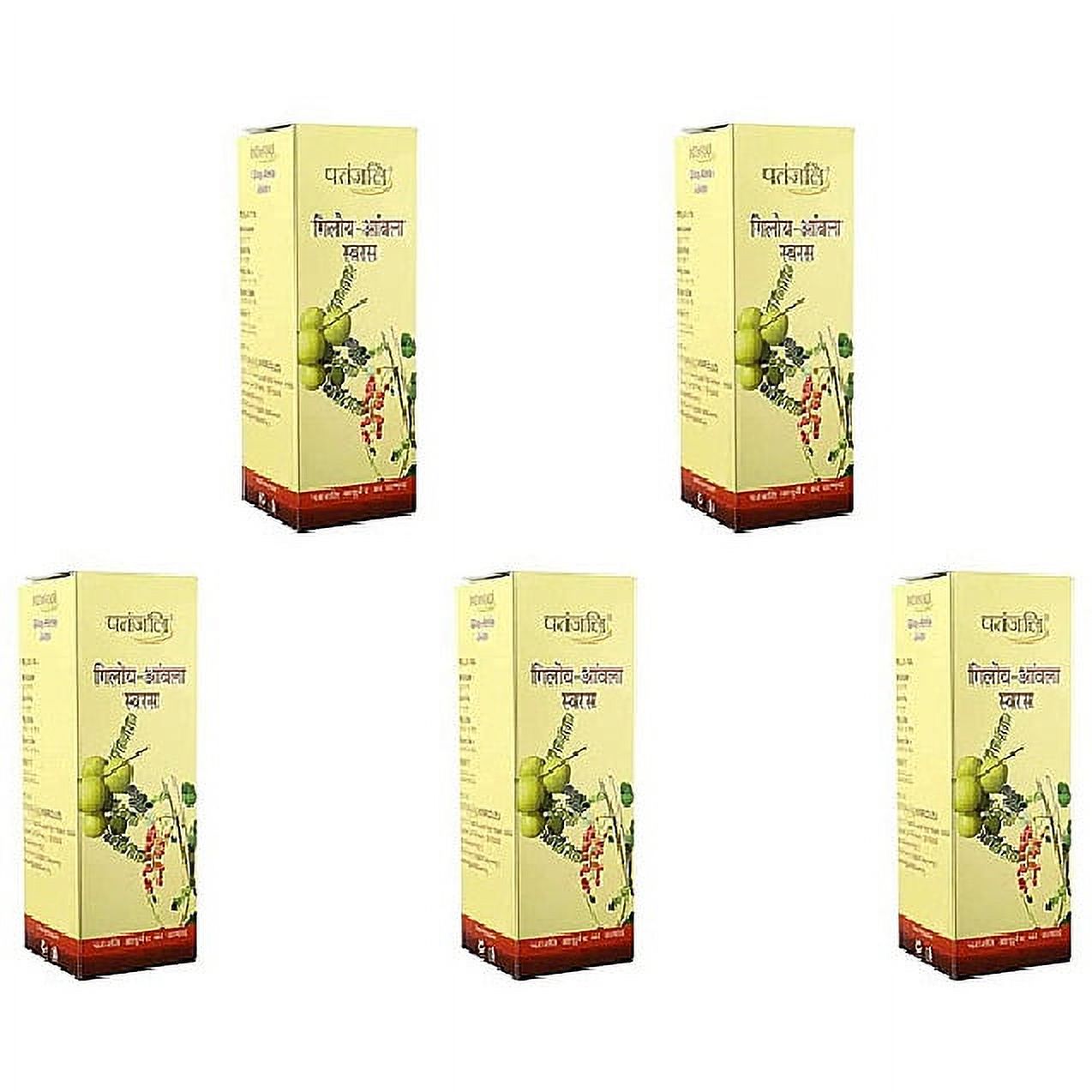 Pack Of 5 - Patanjali Giloy Amla Juice - 500 Ml (17 F Oz)