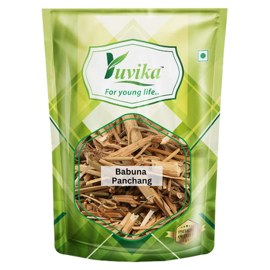 Yuvika Babuna Panchang - Matricaria Chamomilla (100 Grams)