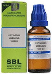 SBL Cotyledon Umbilicus Dilution 1000 CH 30 ml