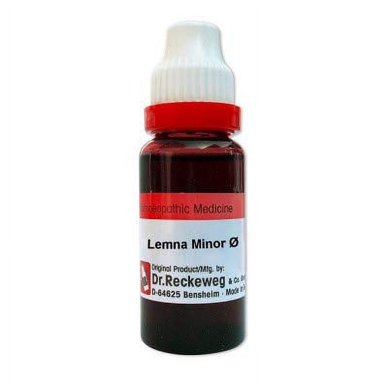 Dr. Reckeweg Germany Homeopathic Lemna Minor Mother Tincture Q (20ml) - by Venus.Exports