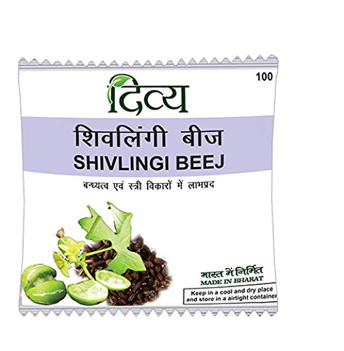 Patanjali Divya Shivlingi Beej 100 gm