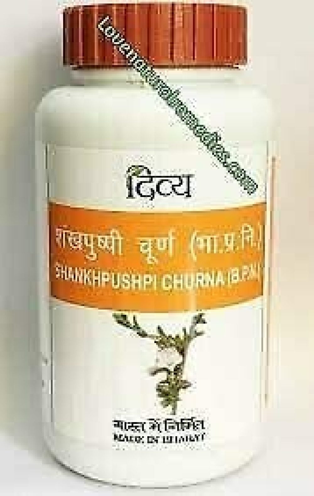 Divya Shankhpushpi Churna 100gm