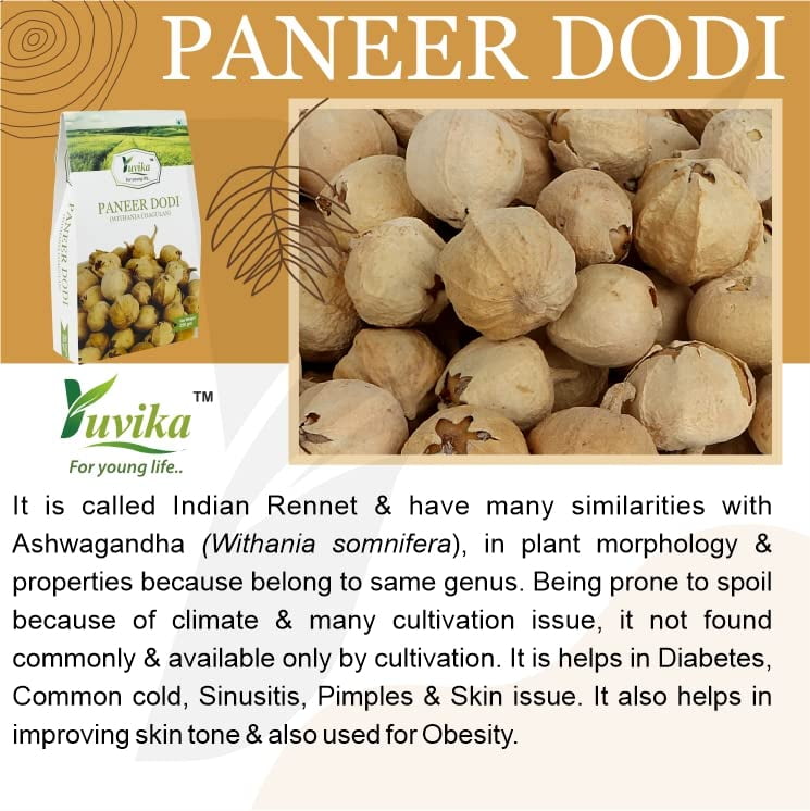 YUVIKA Paneer Dodi Powder - Paneer Doda Powder - Withania Coagulans (400 Grams)