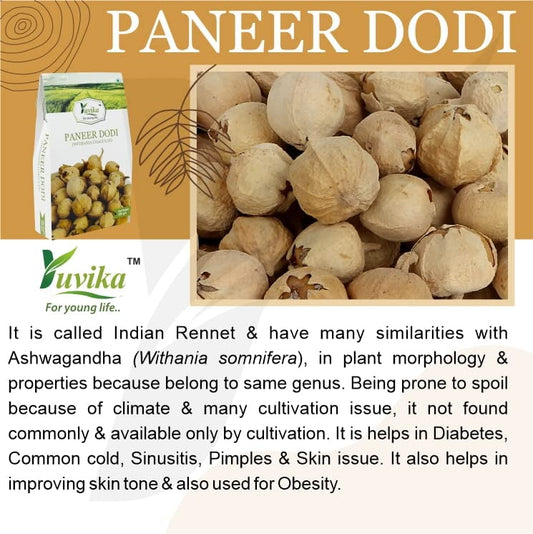YUVIKA Paneer Dodi Powder - Paneer Doda Powder - Withania Coagulans (400 Grams)