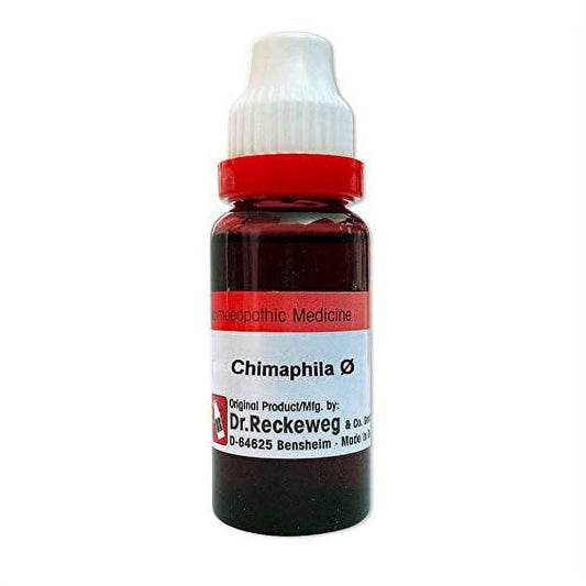 Dr. Reckeweg Germany Homeopathic Chimaphila Umbellata Mother Tincture (Q) (20ml)
